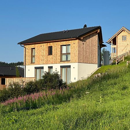 Berglisl - Direkt An Der Schipiste! Neue Ferienwohnung Mit Sauna Klippitztorl 외부 사진
